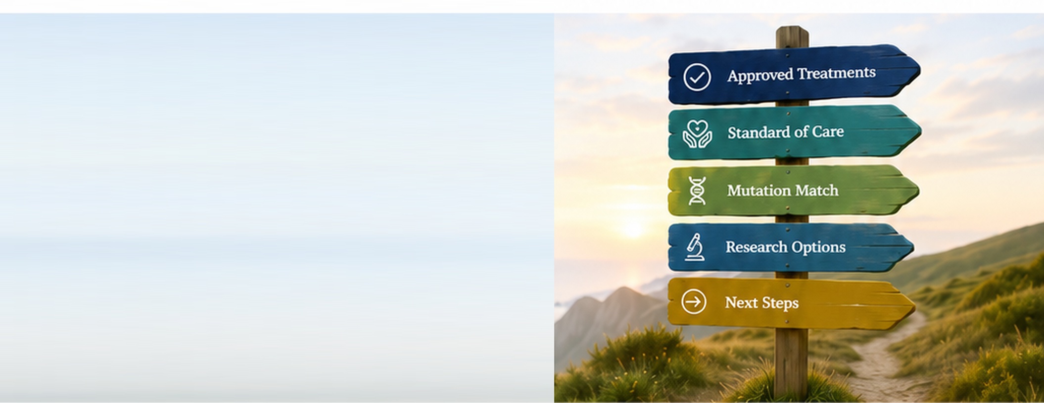 Wooden signpost on a coastal path pointing to Approved Treatments, Standard of Care, Mutation Match, Research Options and Next Steps